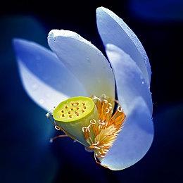 《最后的生还者》PC更新未能解决问题：CPU占用率居高不下